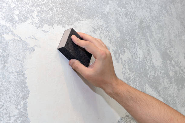 Best Real Estate Mold Inspection  in East Chicago, IN