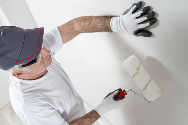 Trusted East Chicago, IN Mold Removal Experts