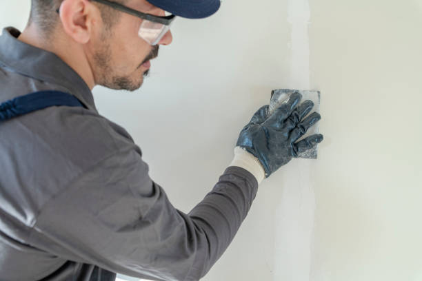 Best Biohazard Mold Removal  in East Chicago, IN