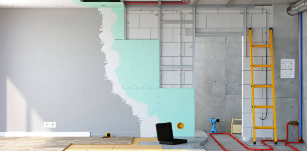 Best Mold Damage Restoration  in East Chicago, IN