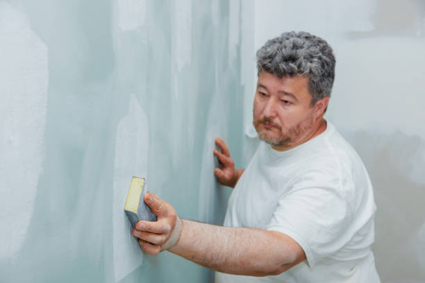 Best Comprehensive Air Testing for Mold Contaminants  in East Chicago, IN